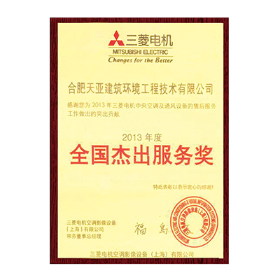 全國(guó)杰出服務(wù)獎(jiǎng)